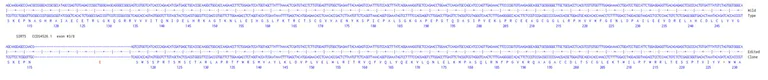 Next Generation Sequencing - Human SIRT5 knockout A549 cell line (AB282634)