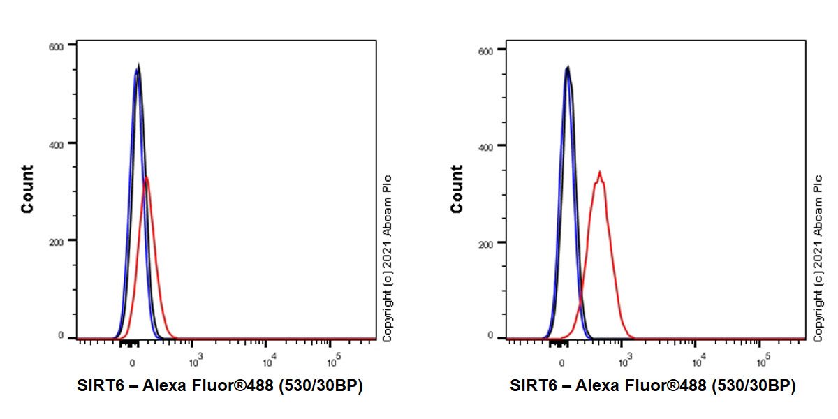 Flow Cytometry (Intracellular) - Human SIRT6 knockout HeLa cell line (AB265054), expandable thumbnail