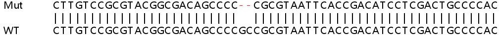 Sanger Sequencing - Human SIRT6 knockout HeLa cell line (AB265054), expandable thumbnail