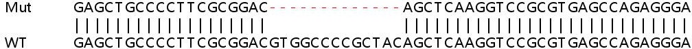 Sanger Sequencing - Human SIVA1 (SIVA) knockout HEK-293T cell lysate (AB259114), expandable thumbnail