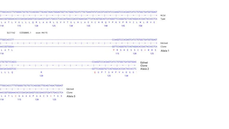 Next Generation Sequencing - Human SLC11A2 knockout A549 cell line (AB326025)