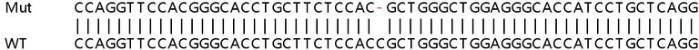 Sanger Sequencing - Human SLC19A1 (RFC) knockout HEK-293T cell line (AB266453)