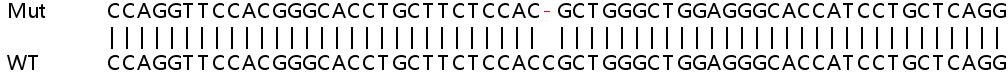 Sanger Sequencing - Human SLC19A1 (RFC) knockout HEK-293T cell lysate (AB259117)