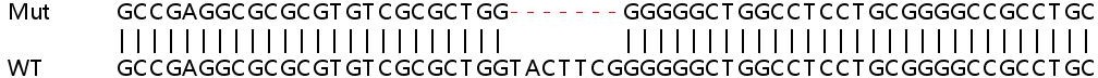 Sanger Sequencing - Human SLC25A10 (Mitochondrial dicarboxylate carrier) knockout HEK-293T cell line (AB266122)