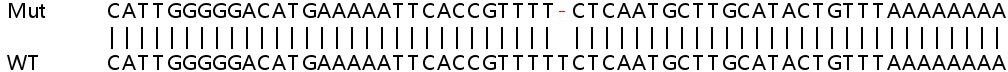Sanger Sequencing - Human SLC25A13 (Citrin) knockout HeLa cell lysate (AB258192), expandable thumbnail