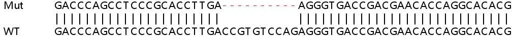 Sanger Sequencing - Human SLC25A20 knockout HeLa cell lysate (AB259120), expandable thumbnail