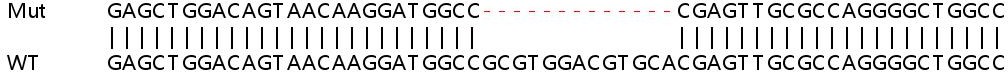 Sanger Sequencing - Human SLC25A23 knockout HEK-293T cell lysate (AB263349), expandable thumbnail