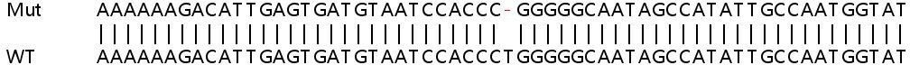 Sanger Sequencing - Human SLC25A28 knockout A549 cell line (AB267133)