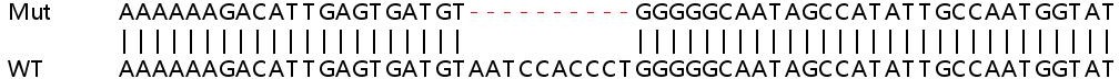 Sanger Sequencing - Human SLC25A28 knockout A549 cell lysate (AB259122), expandable thumbnail