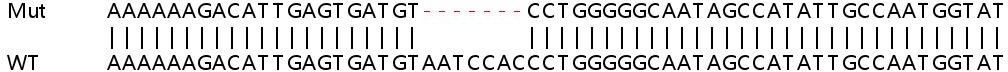 Sanger Sequencing - Human SLC25A28 knockout A549 cell lysate (AB259122), expandable thumbnail