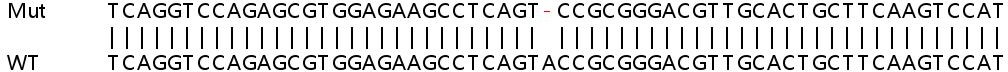 Sanger Sequencing - Human SLC25A29 knockout HeLa cell lysate (AB258674), expandable thumbnail
