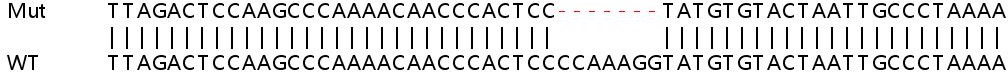 Sanger Sequencing - Human SLC25A40 knockout HEK-293T cell line (AB267327)