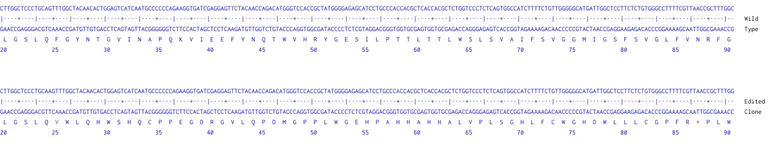 Next Generation Sequencing - Human SLC2A1 (Glucose Transporter GLUT1) knockout A549 cell line (AB261869)
