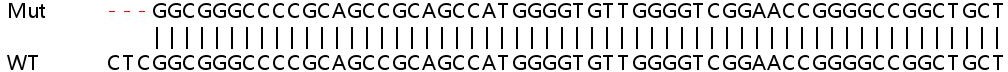 Sanger Sequencing - Human SLC30A1 (ZnT1) knockout HeLa cell lysate (AB258678), expandable thumbnail