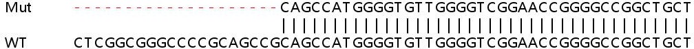 Sanger Sequencing - Human SLC30A1 (ZnT1) knockout HeLa cell lysate (AB258678), expandable thumbnail