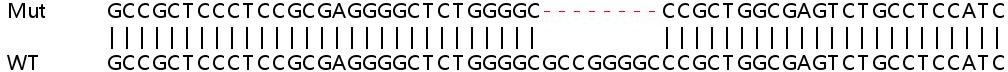 Sanger Sequencing - Human SLC35F2 knockout HEK-293T cell lysate (AB259130), expandable thumbnail