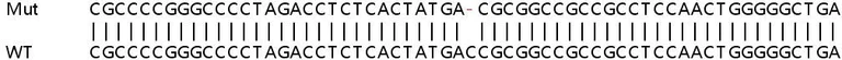 Sanger Sequencing - Human SLC38A10 knockout HEK-293T cell line (AB266269)