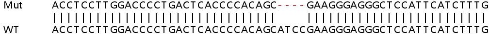 Sanger Sequencing - Human SLC38A5 (SNAT5) knockout HeLa cell line (AB265819)