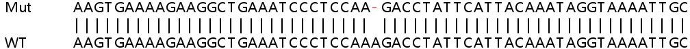 Sanger Sequencing - Human SLC39A6 (ZIP-6) knockout HeLa cell line (AB266046), expandable thumbnail