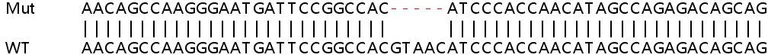 Sanger Sequencing - Human SLC39A9 (ZIP-9) knockout HeLa cell lysate (AB259133)