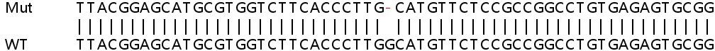 Sanger Sequencing - Human SLC50A1 (RAG1AP1) knockout HeLa cell line (AB265573)