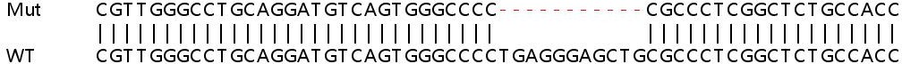 Sanger Sequencing - Human SLC9A3R2 (NHERF-2/SIP-1) knockout HEK-293T cell lysate (AB258685), expandable thumbnail