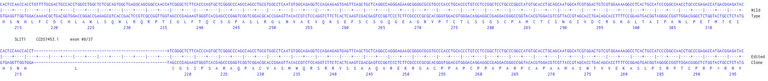 Next Generation Sequencing - Human SLIT1 knockout Jurkat cell line (AB326615)