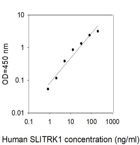 Sandwich ELISA - Human Slitrk ELISA Kit (AB314349), expandable thumbnail