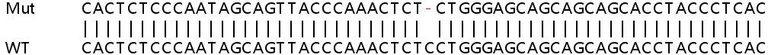 Sanger Sequencing - Human SMAD1 knockout HeLa cell lysate (AB257686)