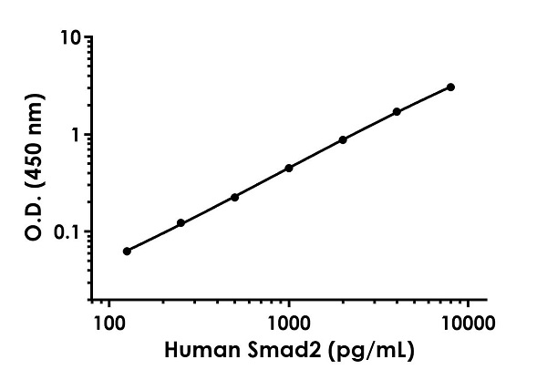 Sandwich ELISA - Human Smad2 ELISA Kit (AB260065), expandable thumbnail