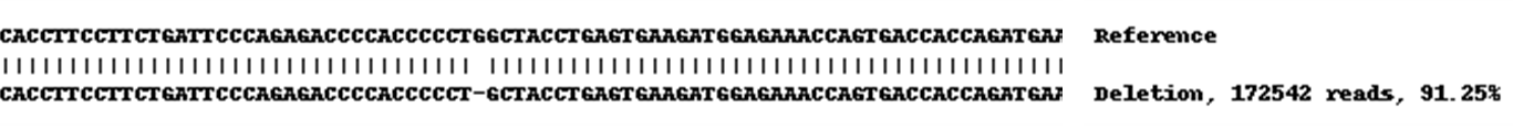 Human SMAD3 knockout A549 cell lysate
