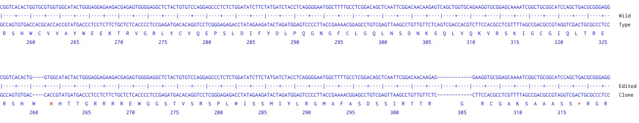 Next Generation Sequencing - Human SMAD7 (MADH7) knockout A549 cell line (AB277892)