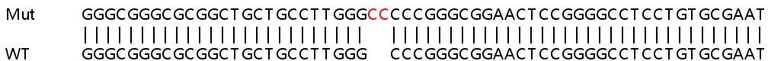 Sanger Sequencing - Human SMARCD1 knockout HEK-293T cell line (AB266458)