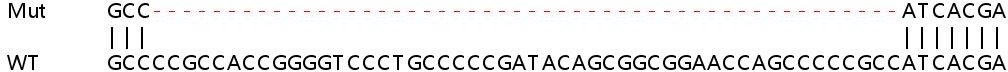 Sanger Sequencing - Human SNAPIN knockout HeLa cell line (AB265393), expandable thumbnail