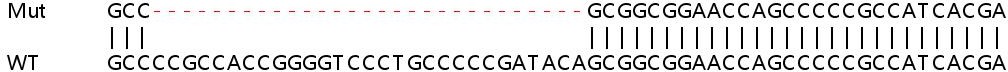 Sanger Sequencing - Human SNAPIN knockout HeLa cell line (AB265393), expandable thumbnail