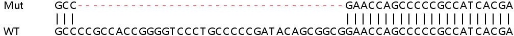 Sanger Sequencing - Human SNAPIN knockout HeLa cell lysate (AB263359), expandable thumbnail