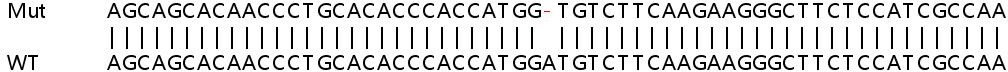 Sanger Sequencing - Human SNCG (gamma Synuclein) knockout HeLa cell lysate (AB257694), expandable thumbnail