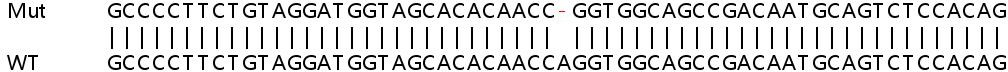 Sanger Sequencing - Human SOCS1 knockout A549 cell line (AB266924)