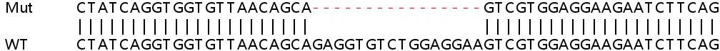 Human SORT1 (Sortilin/NT3) knockout HeLa cell lysate