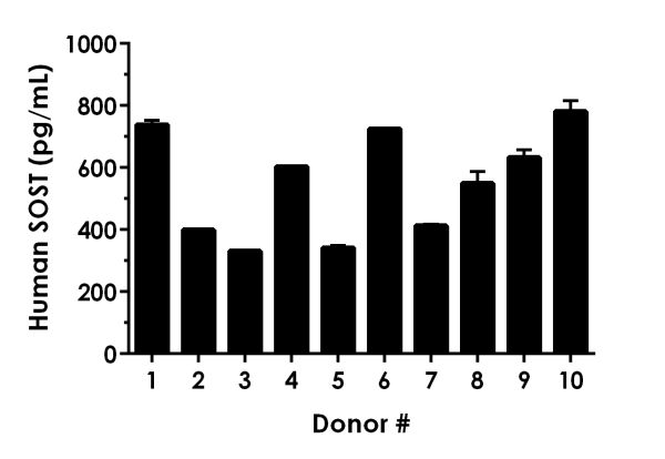 ELISA - Human SOST ELISA Kit (AB221836)