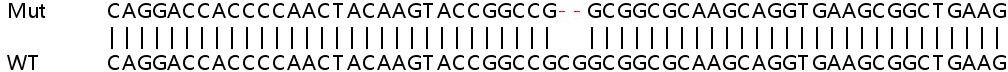 Sanger Sequencing - Human SOX17 knockout HeLa cell line (AB265744), expandable thumbnail