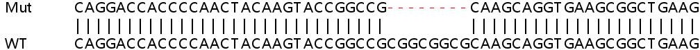 Sanger Sequencing - Human SOX17 knockout HeLa cell line (AB265744), expandable thumbnail