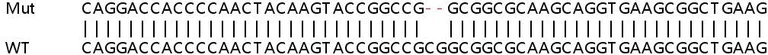 Sanger Sequencing - Human SOX17 knockout HeLa cell lysate (AB257697)