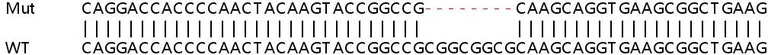 Sanger Sequencing - Human SOX17 knockout HeLa cell lysate (AB257697)