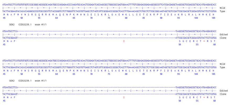 Next Generation Sequencing - Human SOX2 knockout A549 cell line (AB287769)