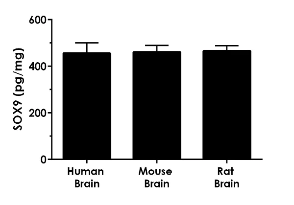 Sandwich ELISA - Human SOX9 ELISA Kit (AB253226)