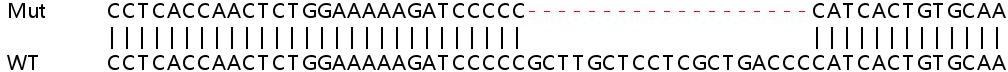 Sanger Sequencing - Human SPAG5 (Astrin/Deepest) knockout HEK-293T cell line (AB266536), expandable thumbnail