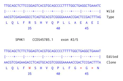 Next Generation Sequencing - Human SPHK1 knockout A549 cell line (AB301254)