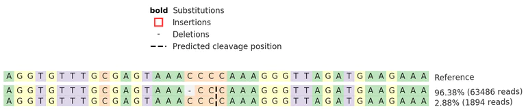 Next Generation Sequencing - Human SPOP knockout HEK-293 cell line (AB273864)