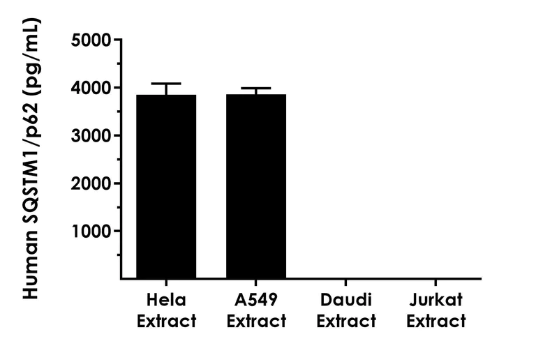 Sandwich ELISA - Human SQSTM1/p62 ELISA Kit (AB289654)
